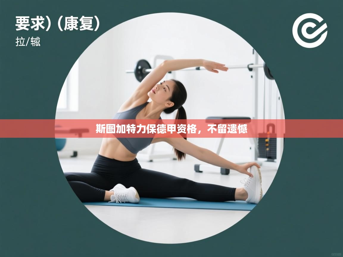 斯图加特力保德甲资格,不留遗憾 第2张