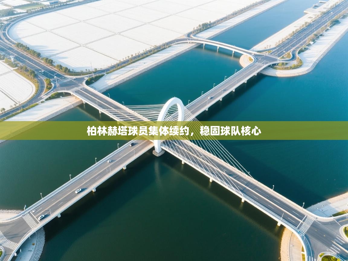 柏林赫塔球员集体续约,稳固球队核心 第1张