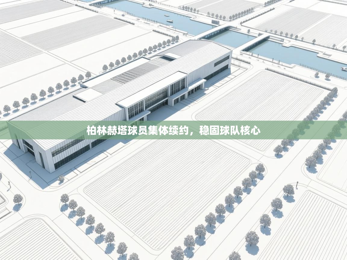 柏林赫塔球员集体续约,稳固球队核心 第2张