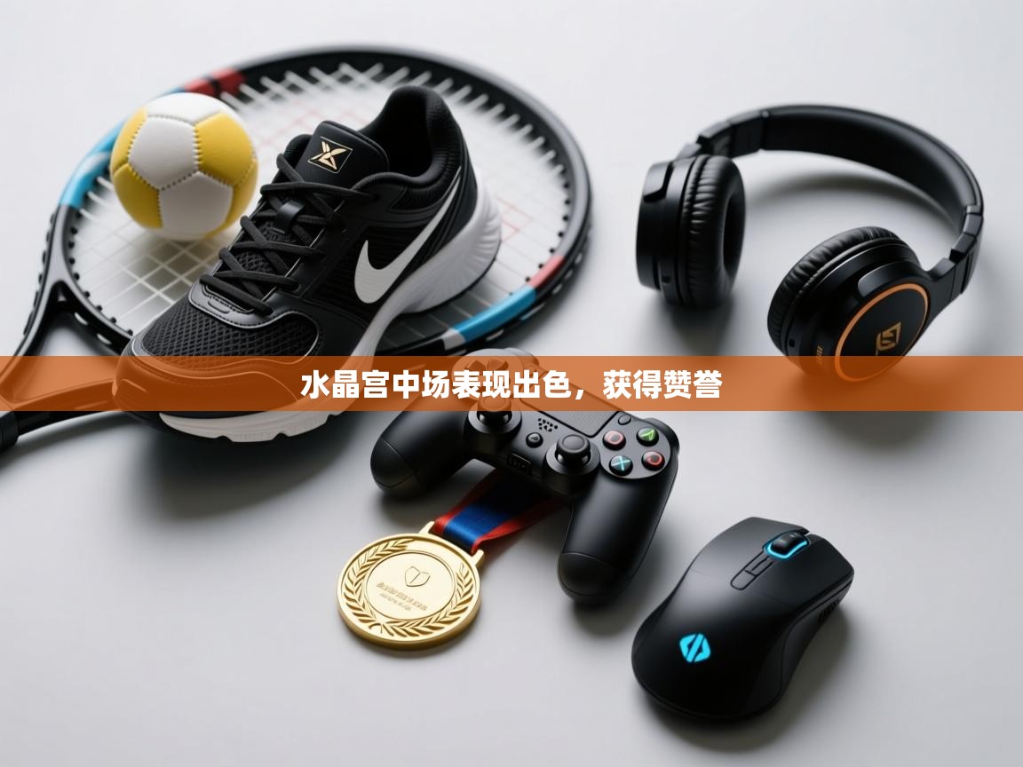 水晶宫中场表现出色,获得赞誉 第1张