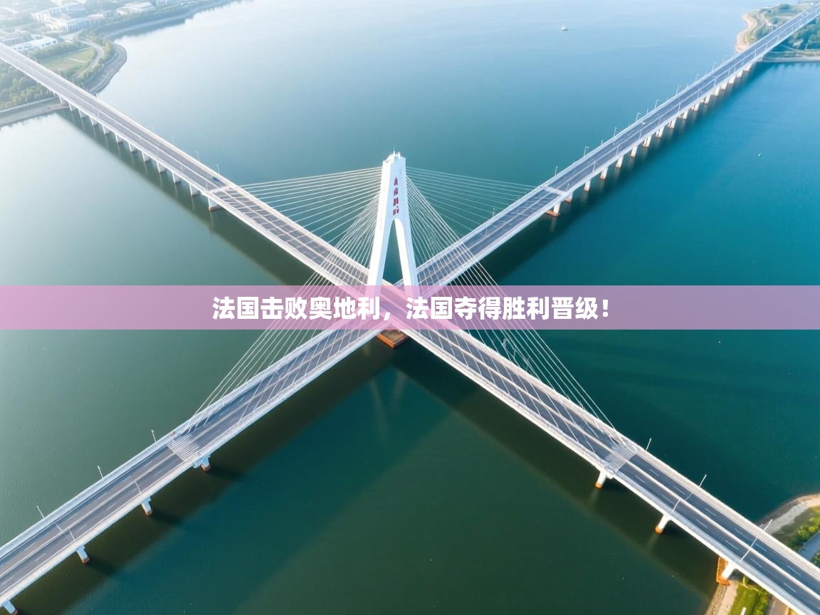 法国击败奥地利，法国夺得胜利晋级！  第1张