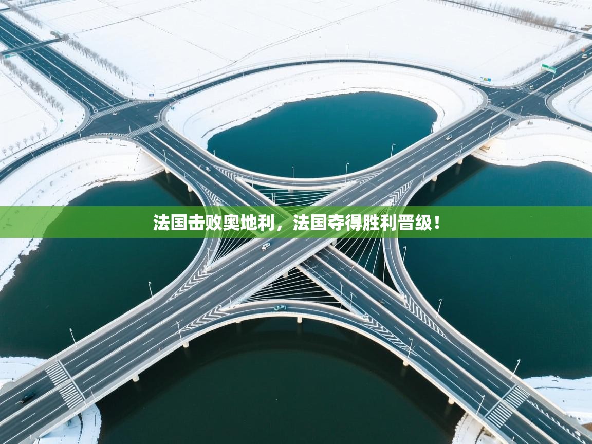 法国击败奥地利，法国夺得胜利晋级！  第2张